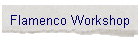 Flamenco Workshop