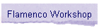 Flamenco Workshop